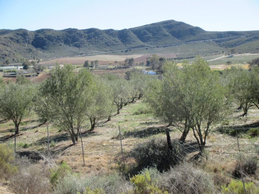 3 Bedroom Property for Sale in Barrydale Western Cape